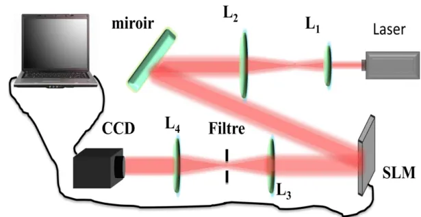 FIGURE 2. 6-Schéma du montage expérimental. Le faisceau étendu d'un laser He – Ne (632,8 nm) 