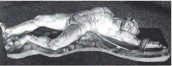 Figure 6 : Le Galate tombant.  