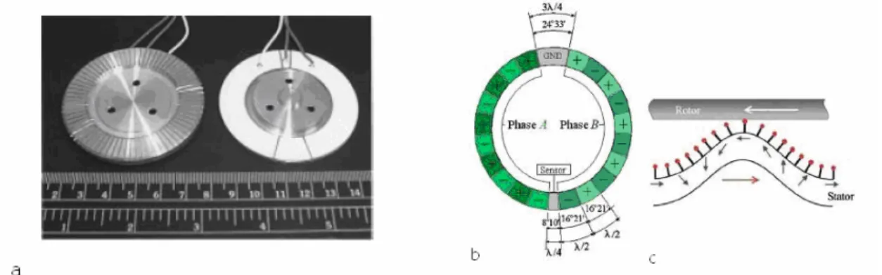 Figure I-26 : a-La construction du stator b-Le s ys t ème d’ e xc i t at i on; c-Les points du stator en contact [22];