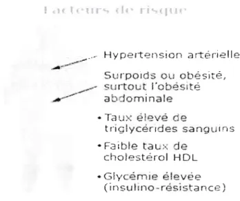 Fig.  1 : Facteurs de  risque du syndrome métabolique 