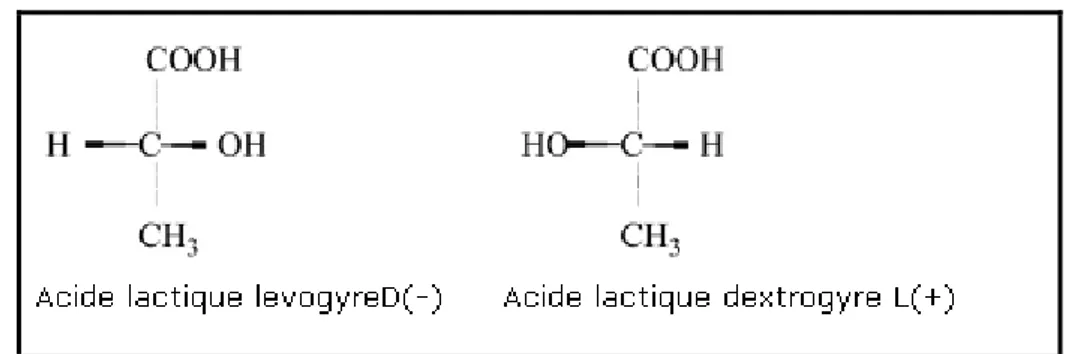 Figure I.1 : Les deux structures isomères d’acide lactique L(+), D(-) (Reddy et al., 2008)