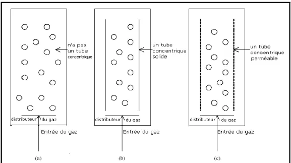 Figure II.3: Les différents types des réacteurs avec agitation pneumatique: 