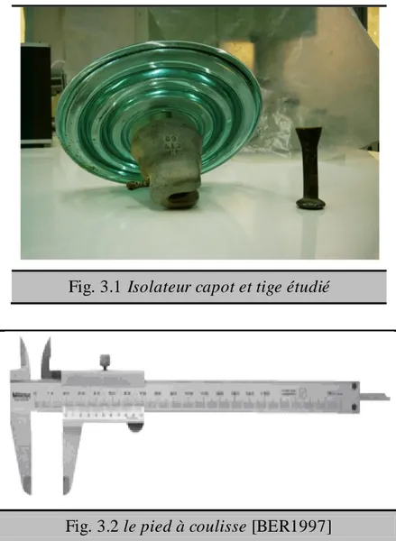 Fig. 3.1 Isolateur capot et tige étudié 