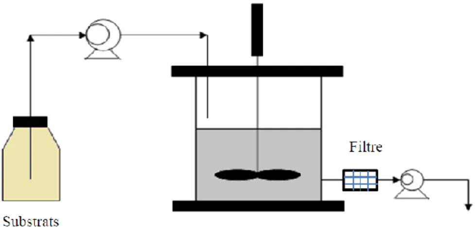 Figure  I-8 Fermenteur perfusé (ou perfused) 