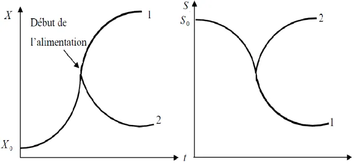 Figure  III-1 :  Évolution des concentrations en biomasse et substrat dans le fermenteur  (1) débit d’alimentation faible