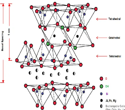 Figure  II.4  Schematic  Representation  of  the  Crystal  Structure  of  2:1  Layered  Phyllosilicate.[74] 
