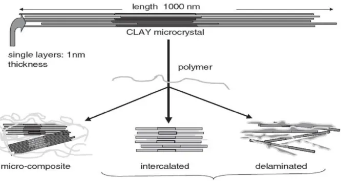 Figure II.9 Schematic Representation of Possible Composite Formation with Layered  Silicates.[97] 