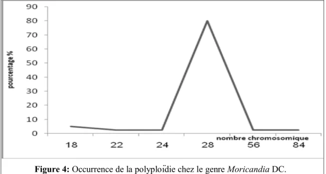 Figure 4: Occurrence de la polyploïdie chez le genre Moricandia DC.