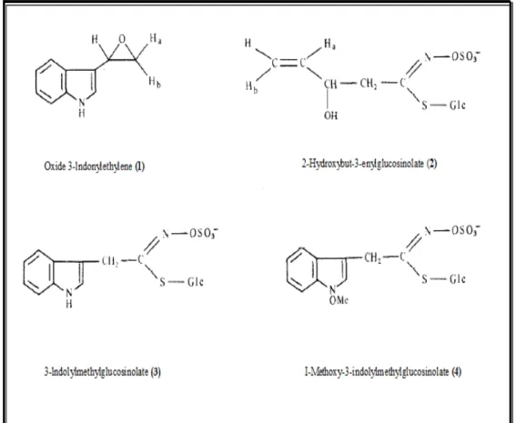 Figure 6: Structure générale des composés chimique chez Moricandia arvensis