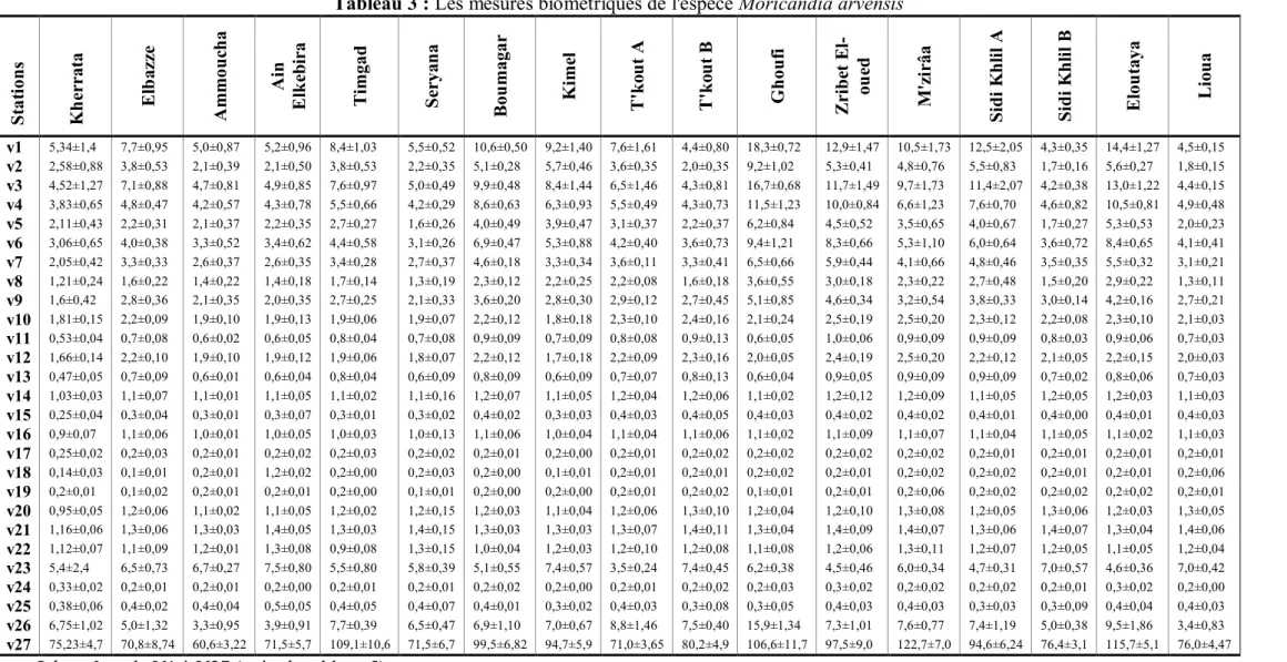 Tableau 3 : Les mesures biométriques de l'espèce Moricandia arvensis