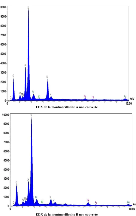 Figure II.19 – Spectres EDX des deux montmorillonites A et B non couvertes.