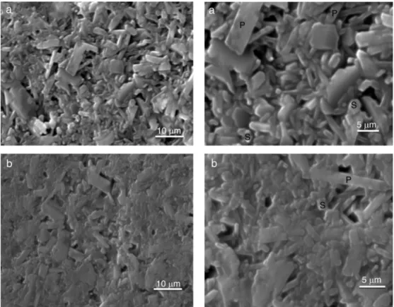 Fig. 11 – Microstructures obtained by SEM of the mixtures ﬁred at 1400 ◦ C during 2 h