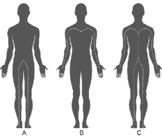 Figure 7 : Circulation du courant électrique selon le modèle de la balance à  impédance 