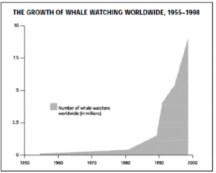 Figure 1.1  La croissance de l’observation de mammifères marins à travers le monde  de 1955 à 1998 