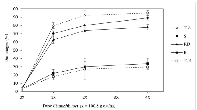 Figure  1.  Pourcentage  de  dommages  visuels  sur  la  petite  herbe  à  poux  en  fonction  de  la  dose  d’imazéthapyr  quatre  semaines  après  le  traitement  à  l’herbicide
