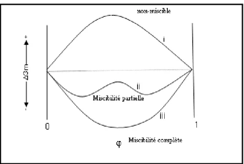 Figure I-1: Variation de l’énergie libre d’un mélange binaire en fonction de la composition [8] 