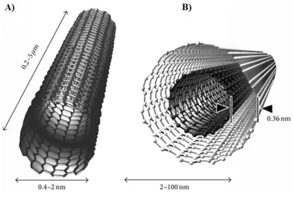 Figure  2.3.  Schematic  representation  of  carbon  nanotubes  showing  typical  dimensions  of  length, width
