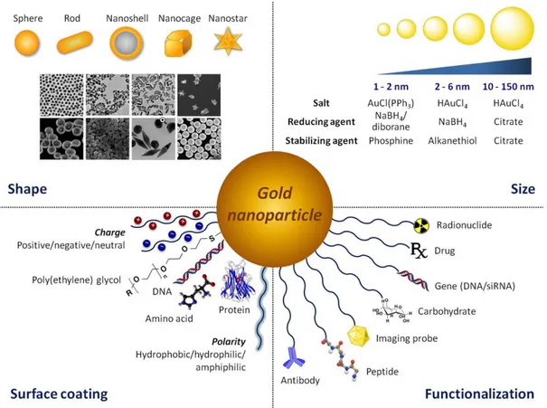 Figure  2.4.  Versatility  of  AuNPs  offer  a  unique  platform  for  tailoring  particle  size,  shape,  surface coating and functionalization