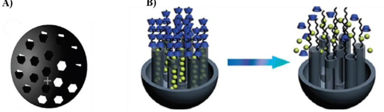 Figure 2.5. Representation of mesoporous nanoparticles system. A) Structural illustration of  MSNs