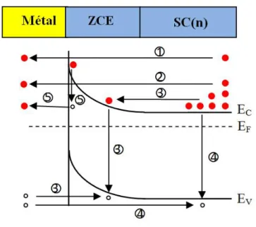 Figure I.7 – Modes de transport des électrons dans un contact métal/semiconducteur (n) polarisé en direct.