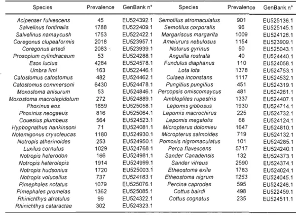 Table 3.1  Species name, prevalence  (number  of lakes present) and  GenBank  accession  number