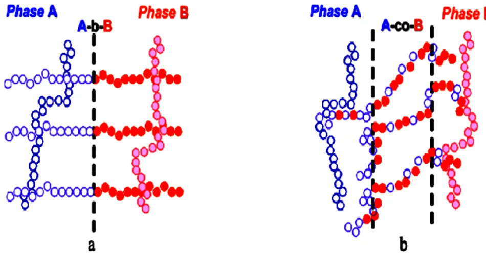 Figure I.1 : Positionnement d’un copolymère à l’interface du mélange en fonction de sa  microstructure : (a) copolymère à bloc ; (b) copolymère statistique [8]