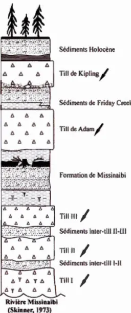 Figure  2.1  Stratigraphie  du  bassin  de  la  rivière  Moose,  d 'après  Skinner  (1973),  tiré  de  Roy,  1998