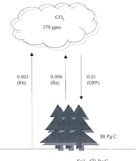 Fig.  1.1.  Carbon  exchange  between  the  global  boreal  forest  ecosystems  and  atmosphere,  adapted  from  IPCC  (2007),  Prentice  (2001)  and  Luyssaert  et  al