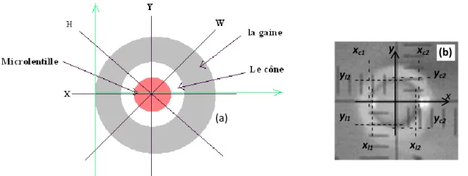Fig.  62.  Représentation  du  schéma  (a)  du  principe  de  mesure  du  centrage  de  la  microlentille (b)