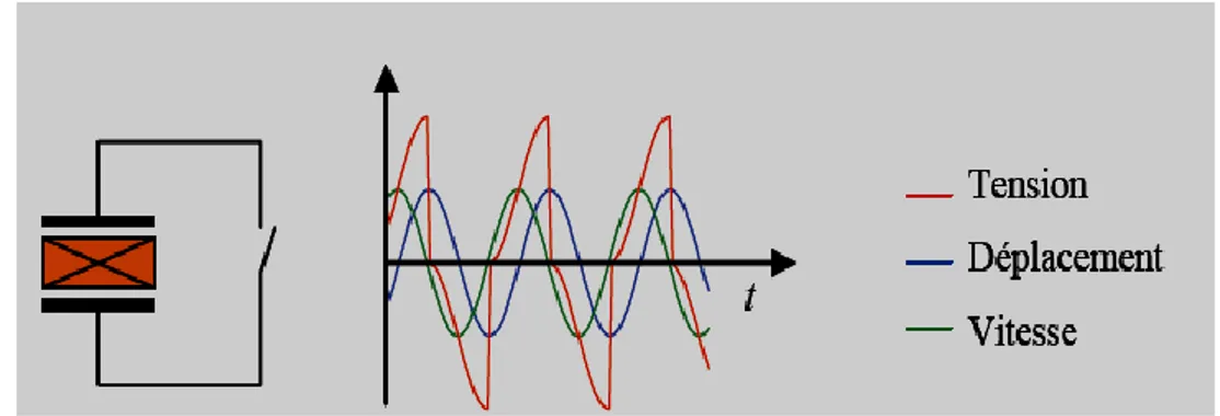 Figure II.10 : Technique SSDS : Dispositif électronique simplifié et formes d’ondes  caractéristiques [91]