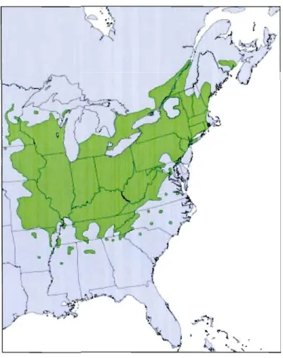 Figure 1.1 Répartition mondiale du  noyer cendré (USGS, 2006) 