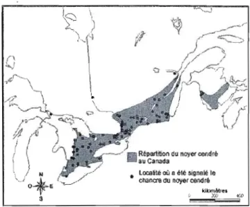 Figure 1.3 Répartition du noyer cendré (zone grise) et du chancre du noyer cendré  (points noirs) au Canada (Hopkin  et al.,  2001) 