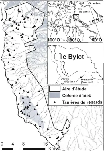 Figure 1.4  Emplacement de  l'aire d'étude, dans  la  plaine sud  de  l'île Bylot (73°N,  80°0),  Nunavut