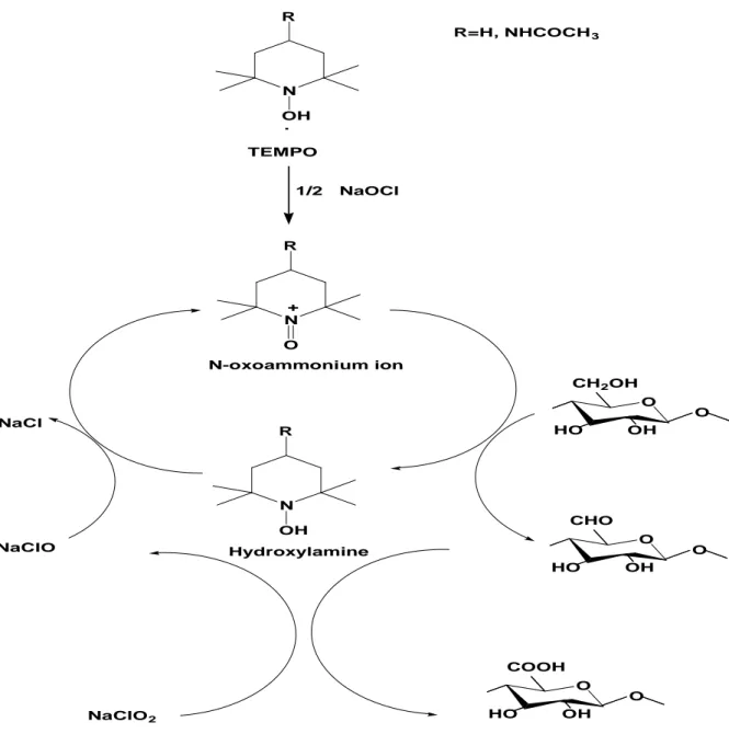 Figure I.30. Oxydation des hydroxyles primaires en C6 de la cellulose par le système TEMPO/NaClO/NaClO 2 dans l'eau à pH 3,5-6,8 (Hirota et al., 2009).