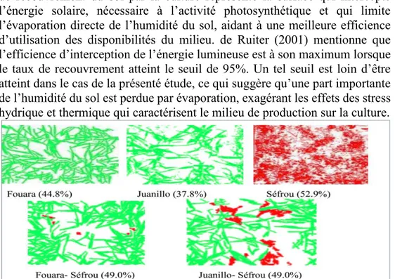 Figure 4 : Taux de recouvrement du sol  par la végétation au stade maturité  