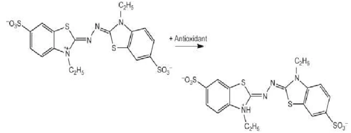 Figure 11. ABTS chemical reaction with antioxidant compound (Morandi Vuolo et al., 2019) 