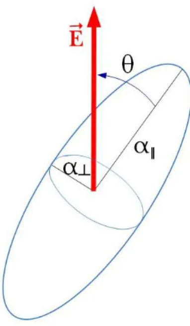 Figure 0.4: Sketch of an anisotropic particle in an electric eld E.