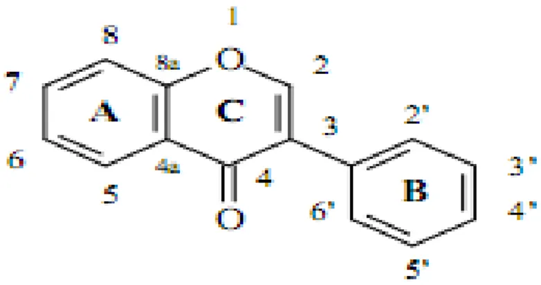 Fig a8. Basic structures of isoflavonoids (Dewick, 1994). 
