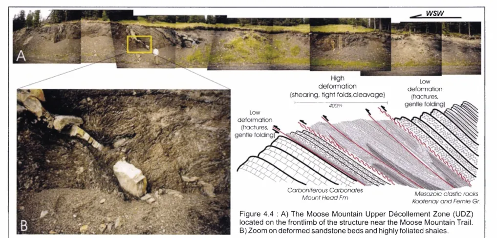 Figure 4.4 : A) The Moose Mountain Upper  Décollement  Zone (UDZ) located on  the  frontlimb of the structure  near the  Moose  Mountain  Trail.