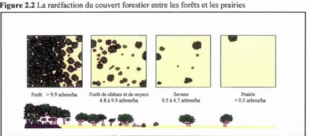 Figure  2.2 La raréfacti o n du couvert forestier entre  les forêts et les  prairies 