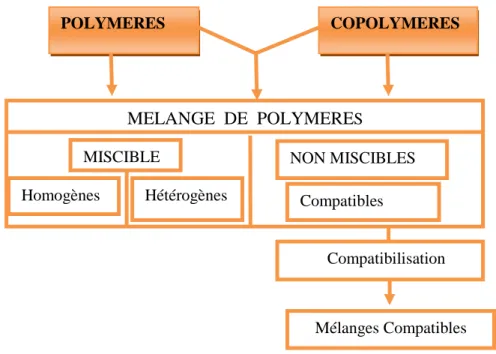 Figure II-1 : Interdépendance dans la nomenclature des mélanges polymères [27].   
