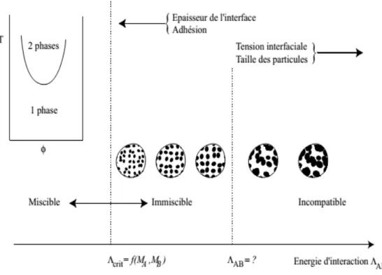 Figure II-7: Illustration de l’influence de l’énergie d’interaction entre polymères Λ AB  sur la  structure et les propriétés des mélanges [50]