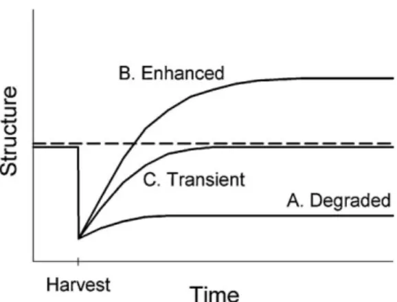 Fig. 1. Schematic representation of hypothesized stand structural dynamics follow- follow-ing partial harvestfollow-ing