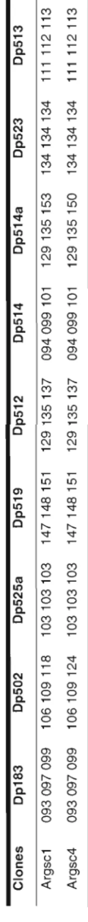 Tableau 2-5 Multilocus genotypes of each Argentinean Daphnia.  Clones Dp183 Dp502 Dp525a Dp519 Dp512 Dp514 Dp514a Dp523 Dp513  Argsc1 093097099106109118103103103147148151 129135137094099101129135153134134134111112113  Argsc4 0930970991061091241031031031471