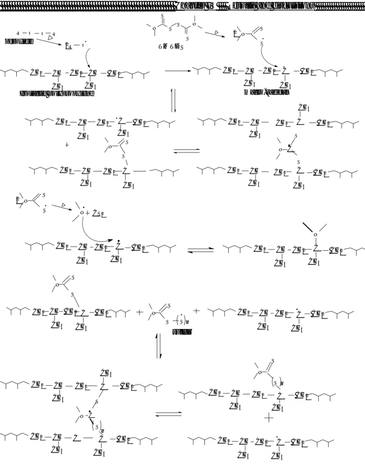 Figure IV.11. Mechanism of the reversible crosslinking reaction of polypropylene 