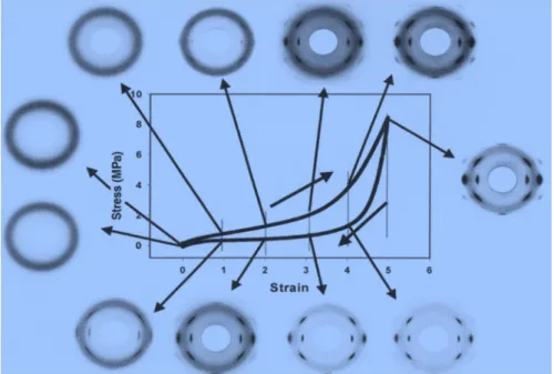 Figure I.36: Courbe contrainte-déformation et imageries de diffraction aux rayons X                      aux grands angles (WAXD) d’un échantillon de NR vulcanisé par du  