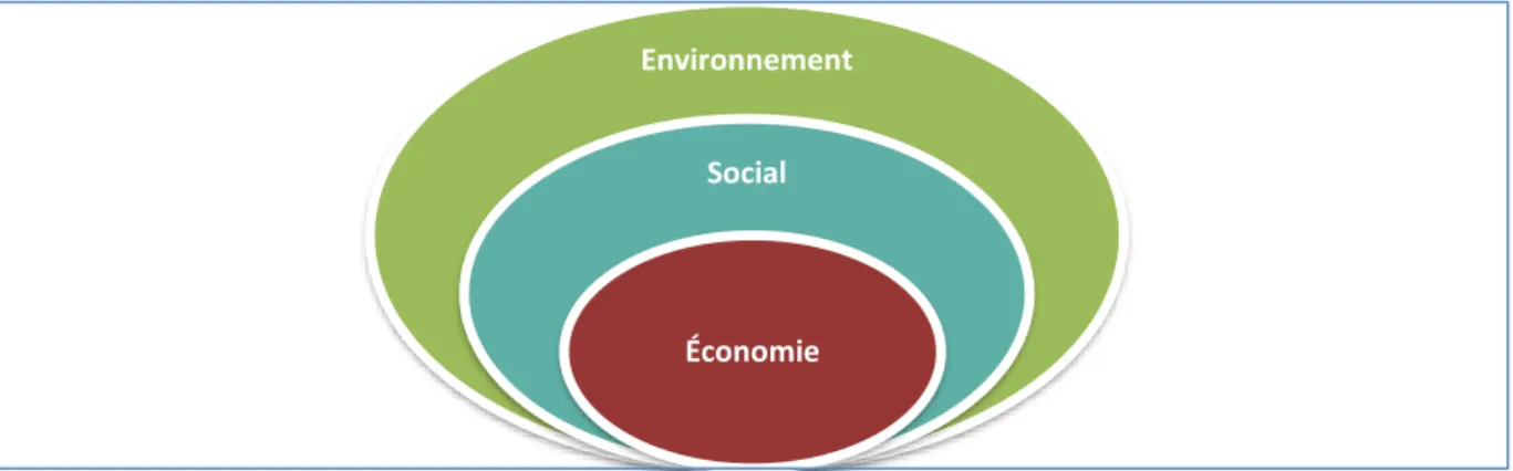 Figure 2.2 : Approche de soutenabilité forte : 