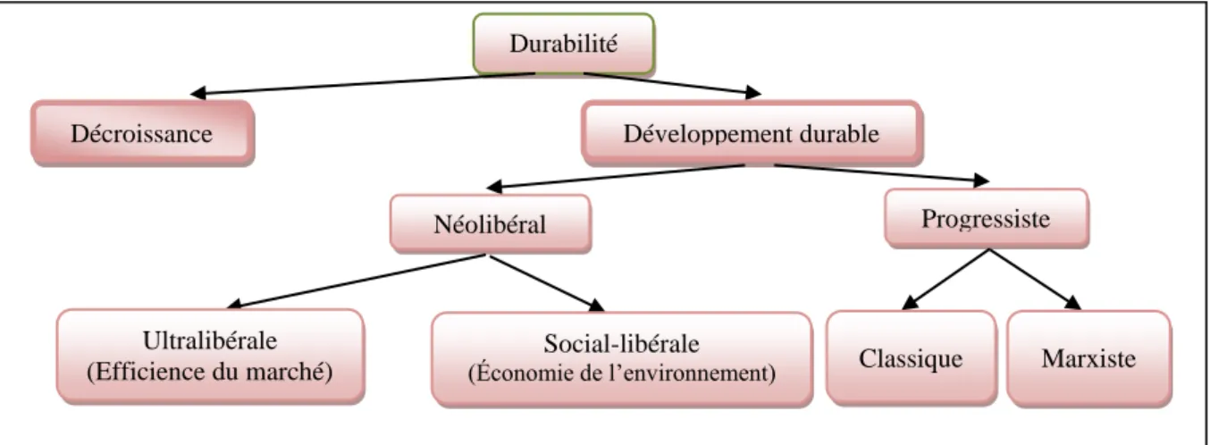 Figure 1.2: Arborescence des approches économiques du développement durable 