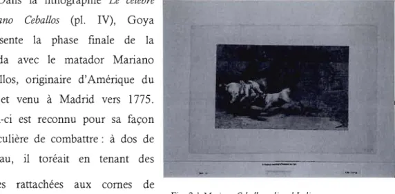 Fig.  2. 1  Mariano  Ceballos,  alias ellndio 