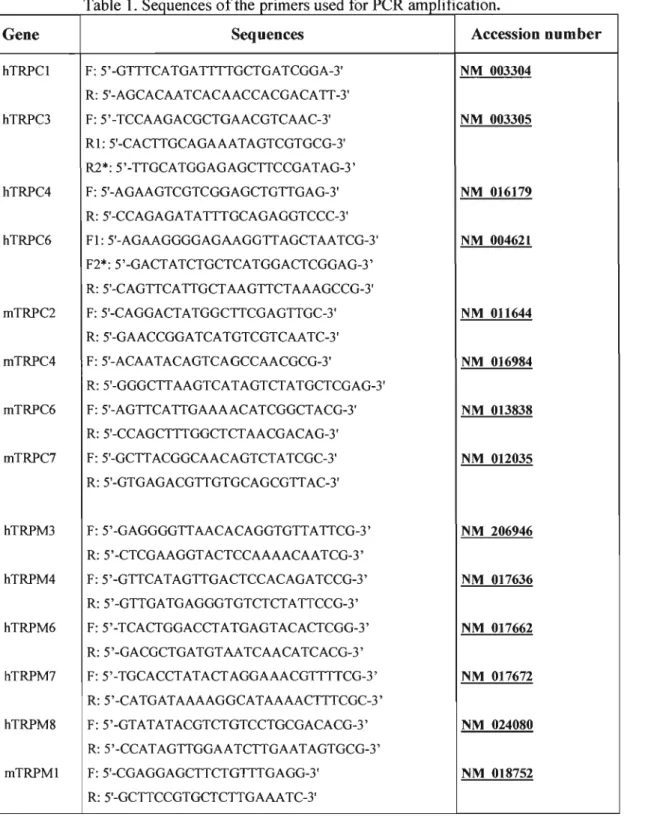 Table  1  Sequences ofthe pnmers used for PCR amplificatIon.  Gene  Sequences  hTRPCI  F:  5'-GTTTCATGATTTTGCTGATCGGA-3'  R:  5'-AGCACAATCACAACCACGACATT-3'  hTRPC3  F:  5'-TCCAAGACGCTGAACGTCAAC-3'  RI: 5'-CACTTGCAGAAATAGTCGTGCG-3'  R2*: 5'-TTGCATGGAGAGCTTC